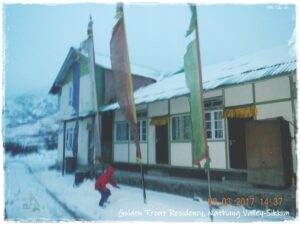 Golden Trout Residency ,Gnathang valley