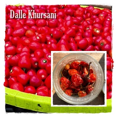 Dalle Khursani