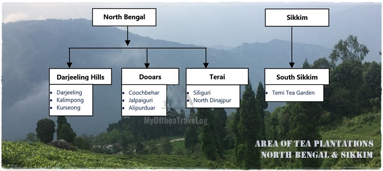 Tea Tourism - Tea Plantation Area of North Bengal & Sikkim