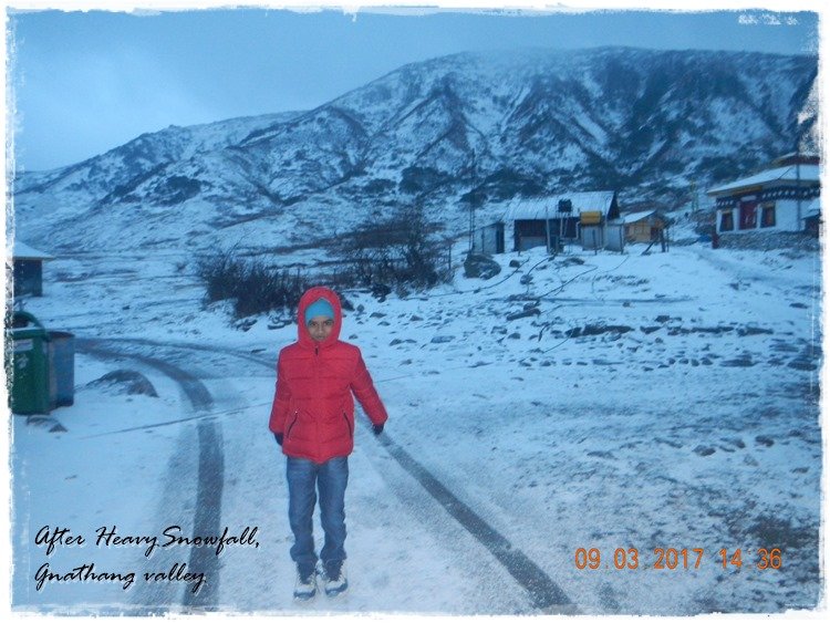 Heavy Snowfall in Gnathang Valley