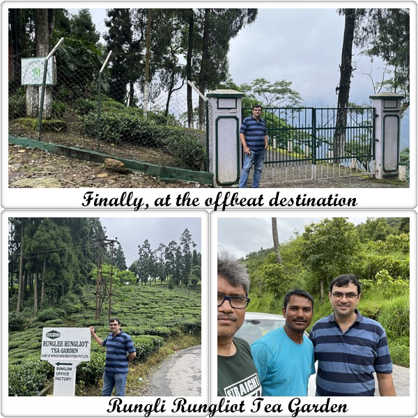 Rungli Rungliot Tea Garden