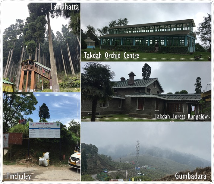 Nearest Attractions, Rungli Rungliot Tea Garden