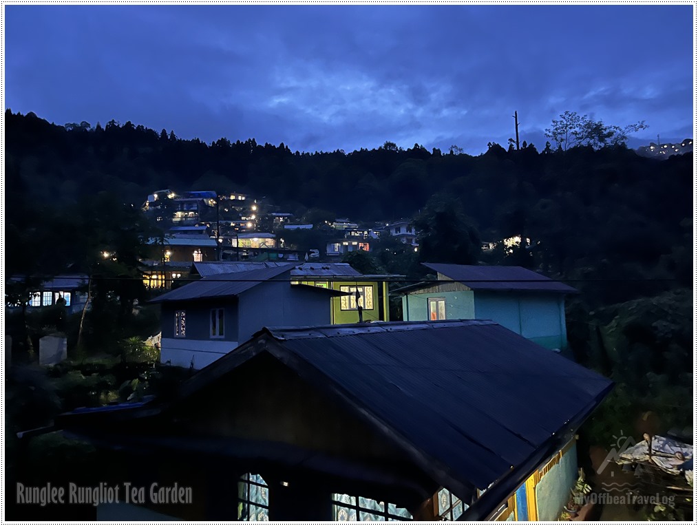 Night View, Rungli Rungliot Tea Garden