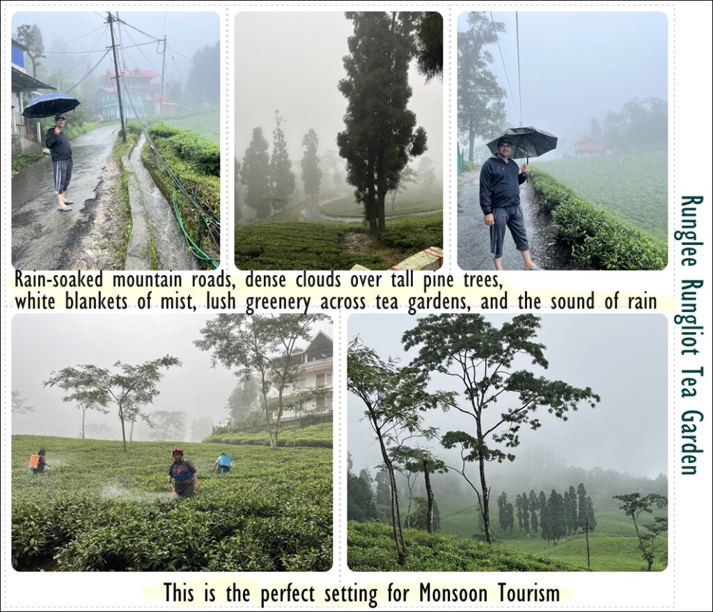 Monsoon Tourism, Rungli Rungliot Tea Garden