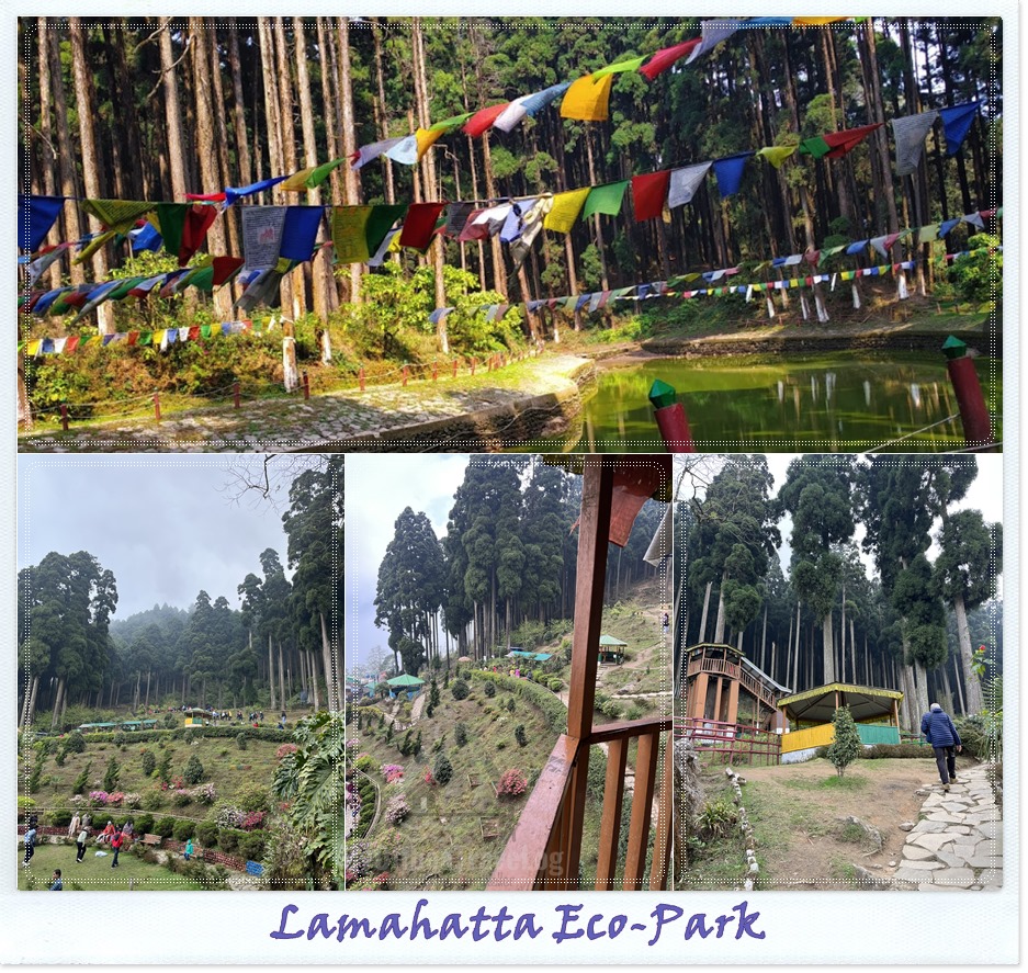 Lamahatta Eco park