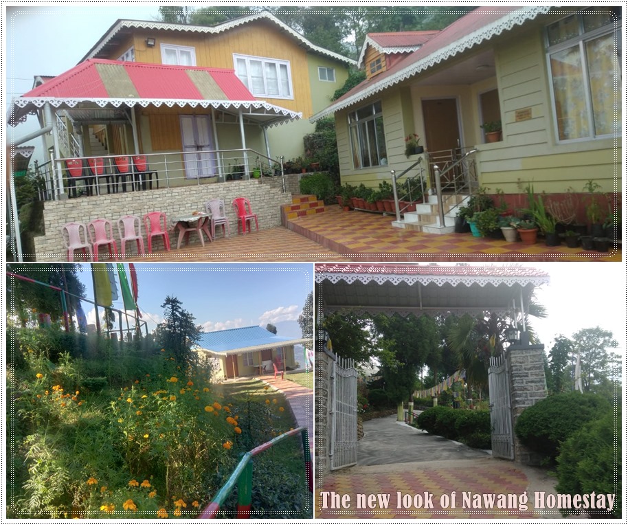 The New Look of the Nawang Homestay, Lamahatta