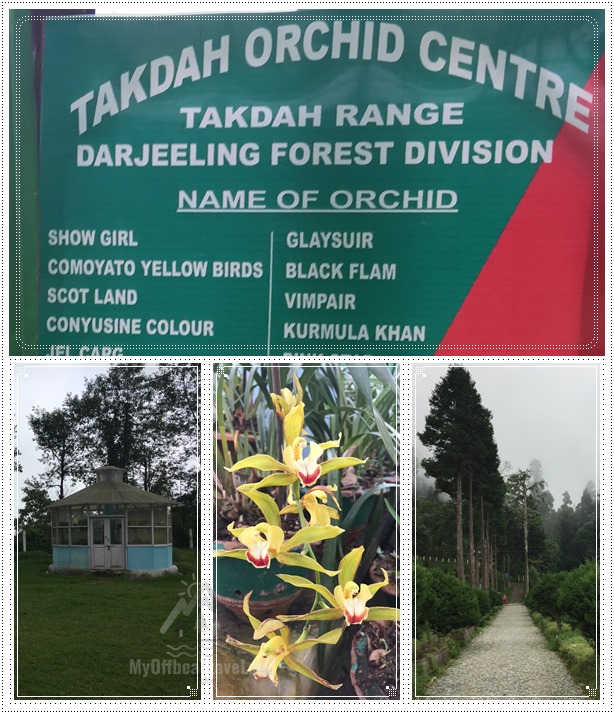 Takdah Orchid Centre