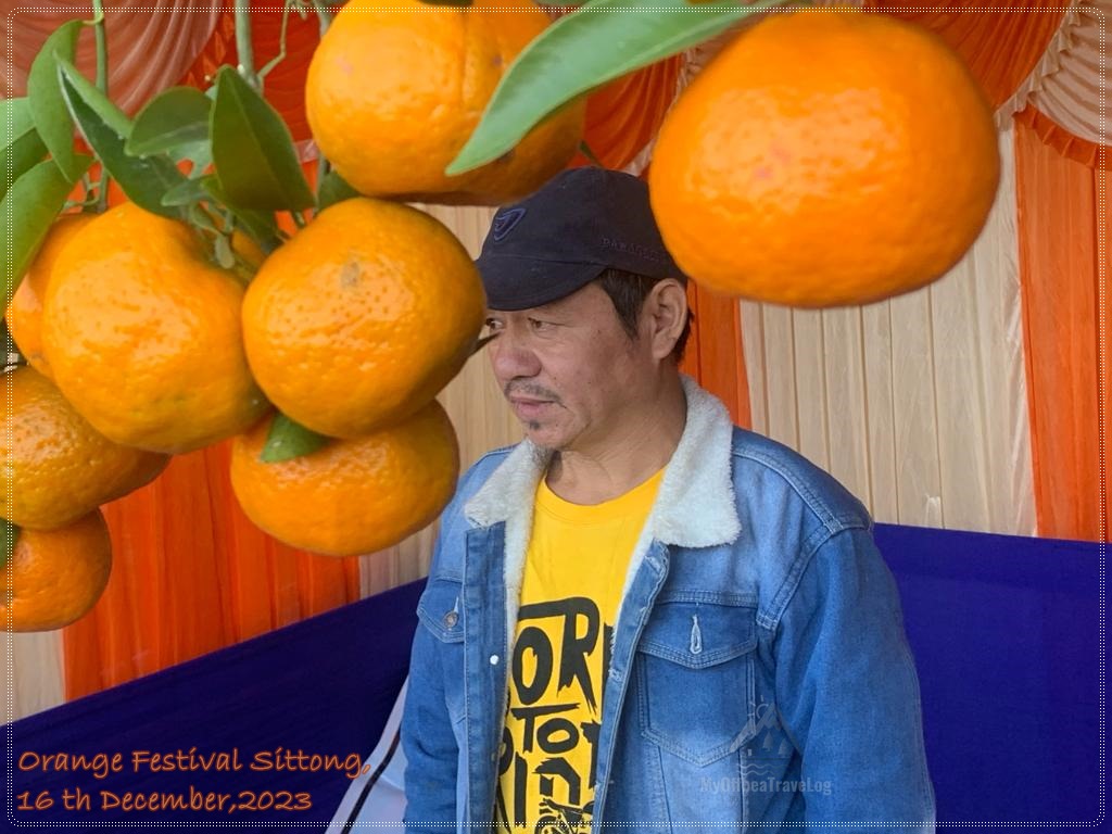 Orange festival,Sittong