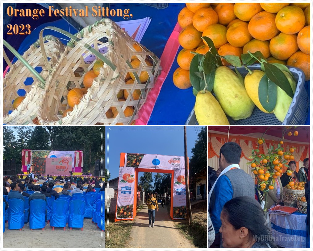 Orange Festival, Sittong