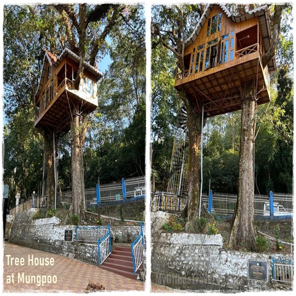 A tree house, mungpoo