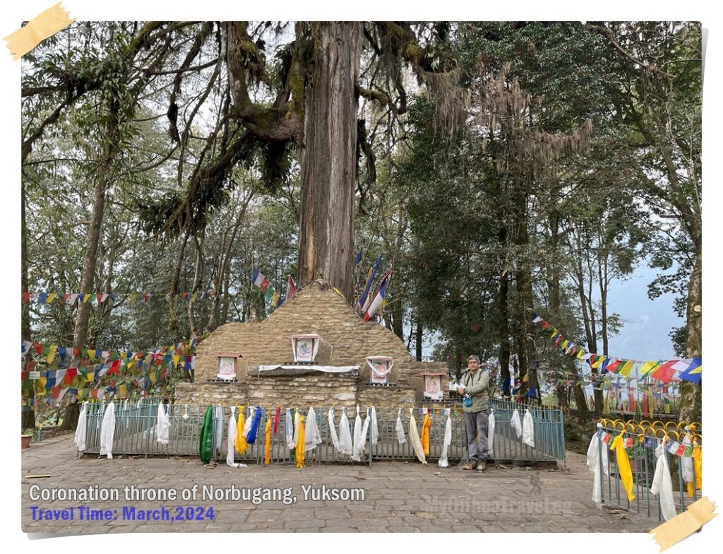 Coronation throne of Norbugang