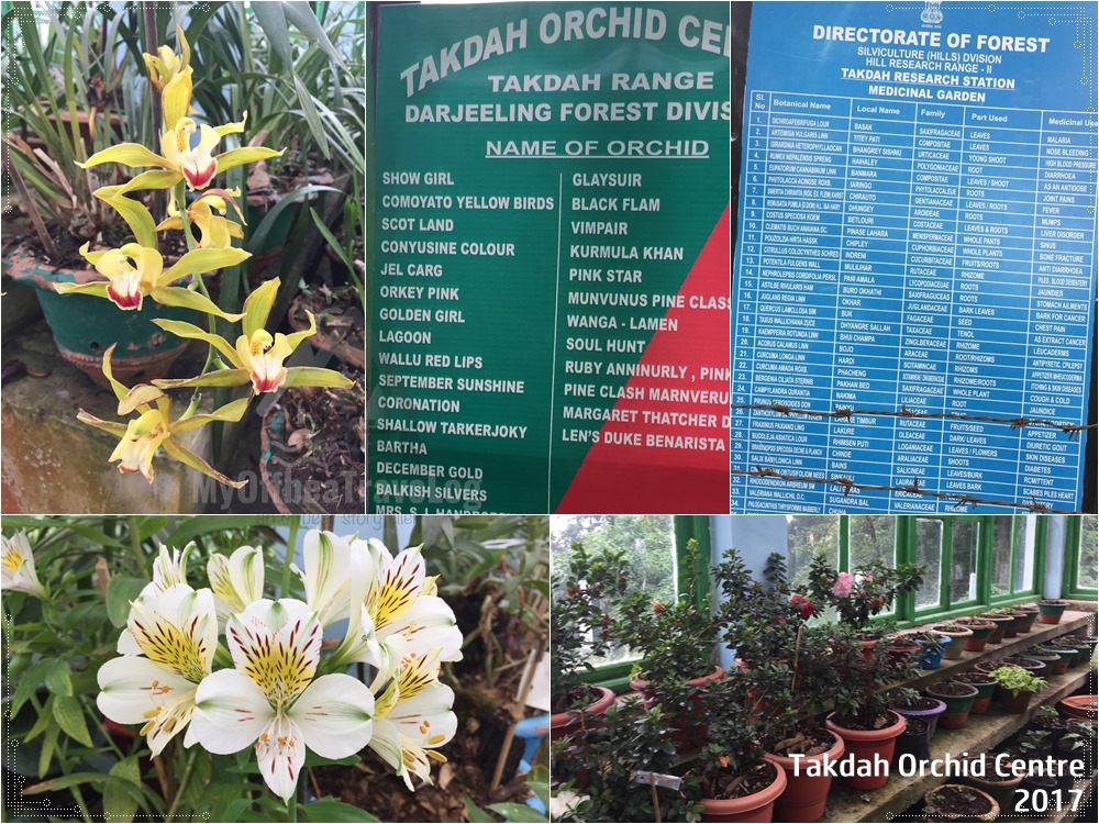 Takdah Orchid Centre