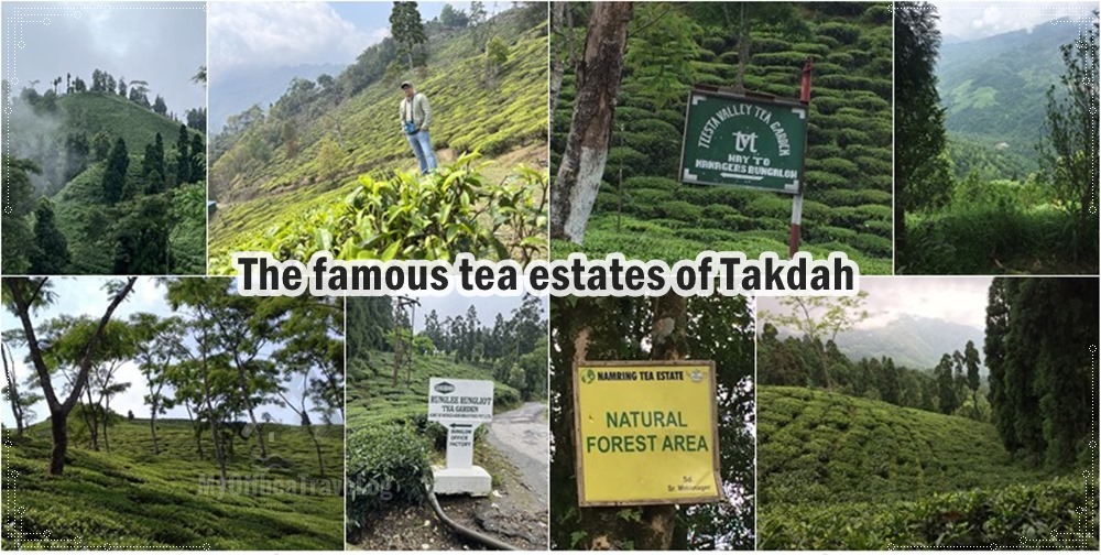 Takdah Tea estates