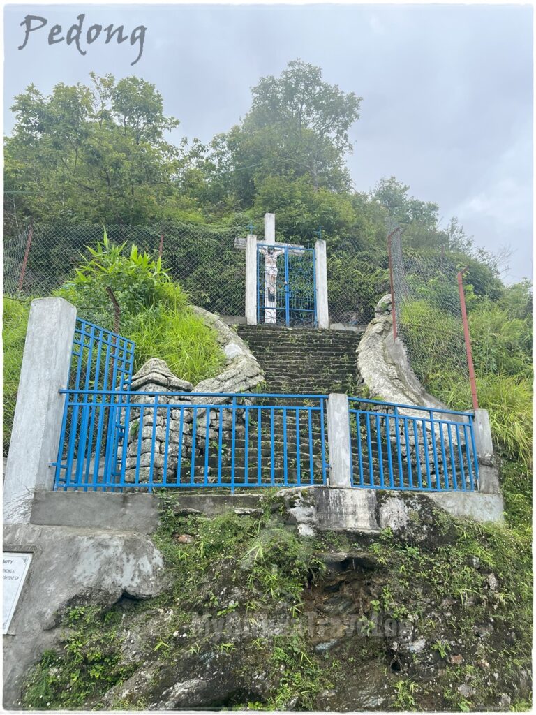 Pedong