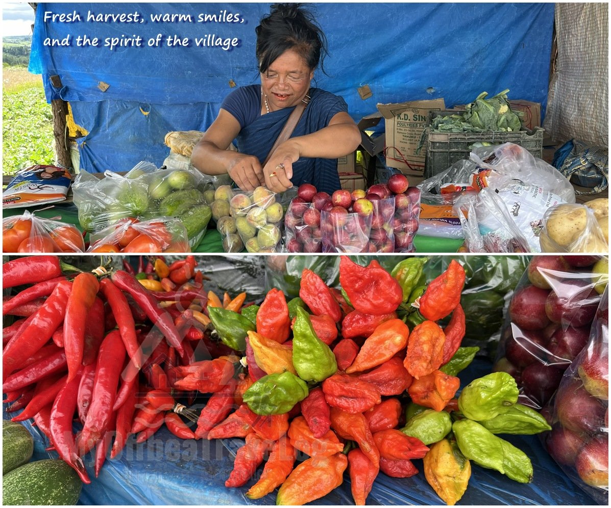OffbeatShillong