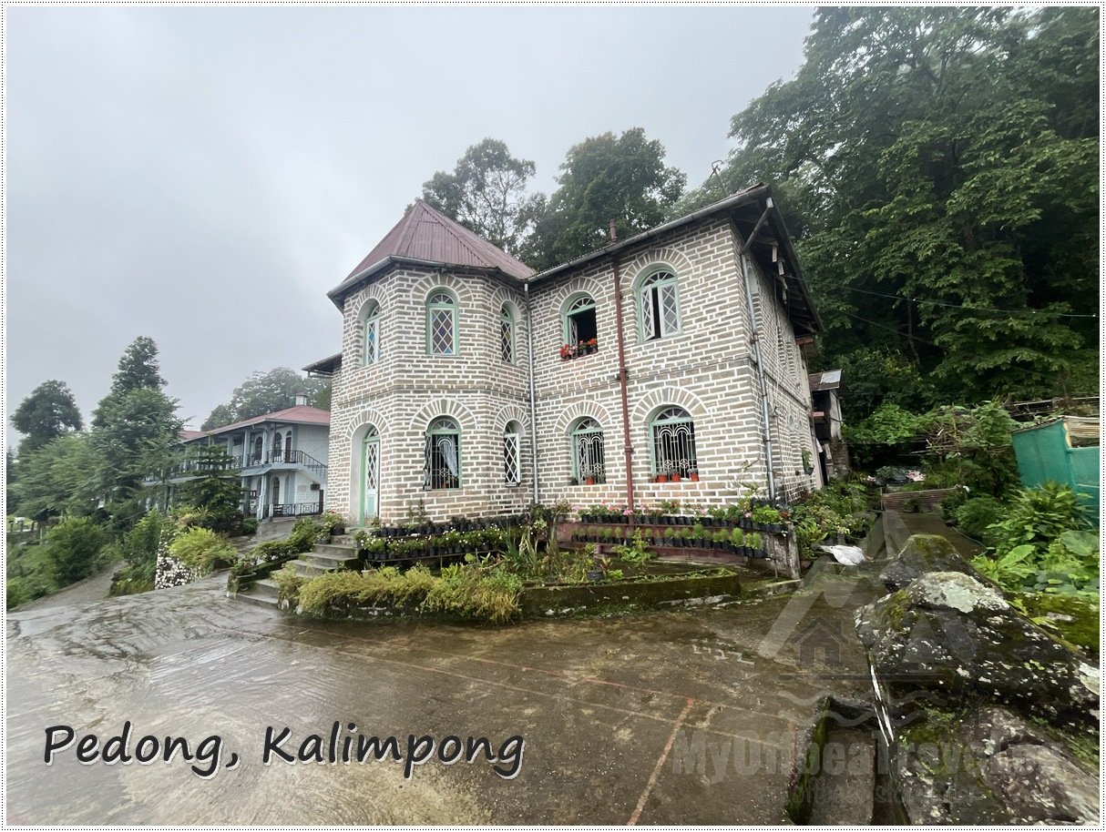 pedong