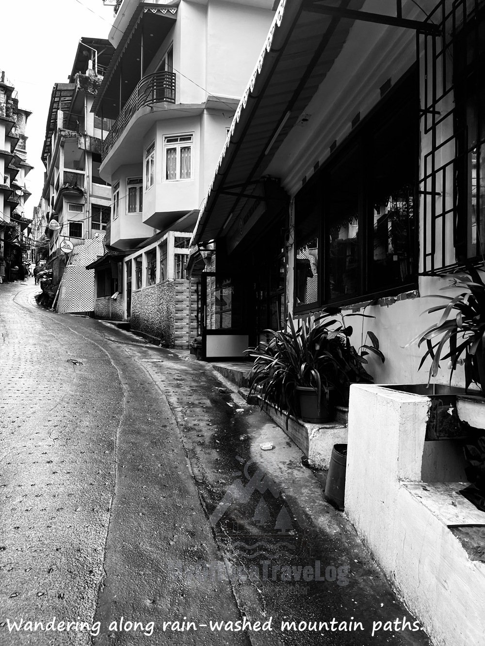 Rain-e=washed uphill path , Darjeeling