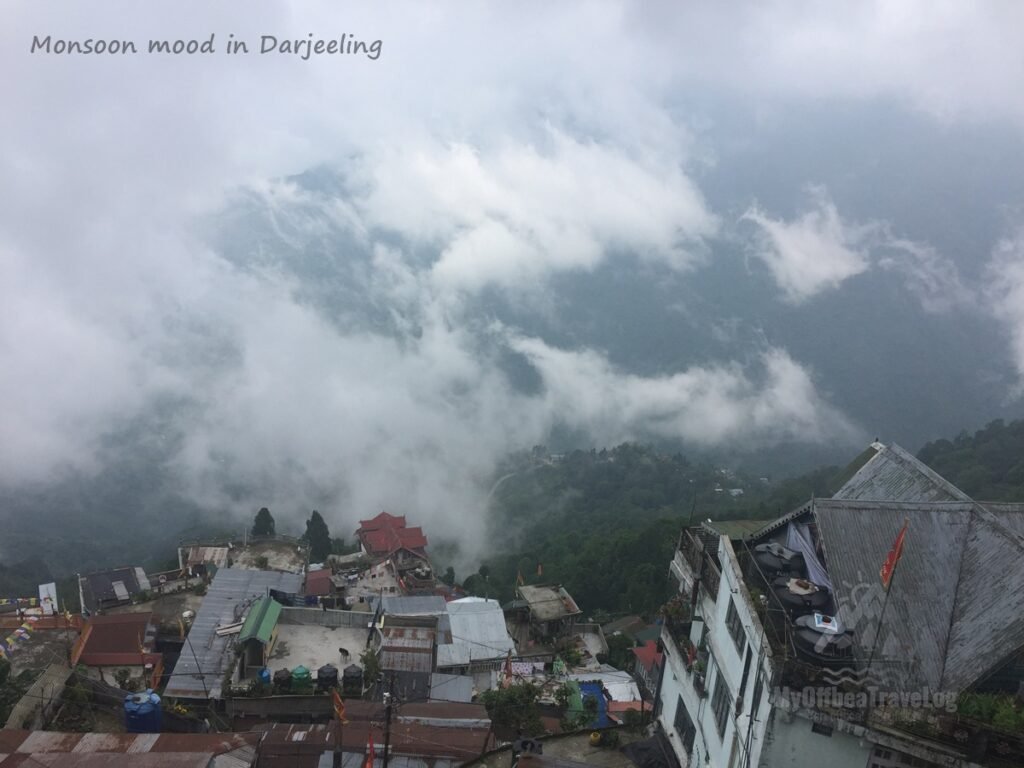 Bird Eye - Darjeeling