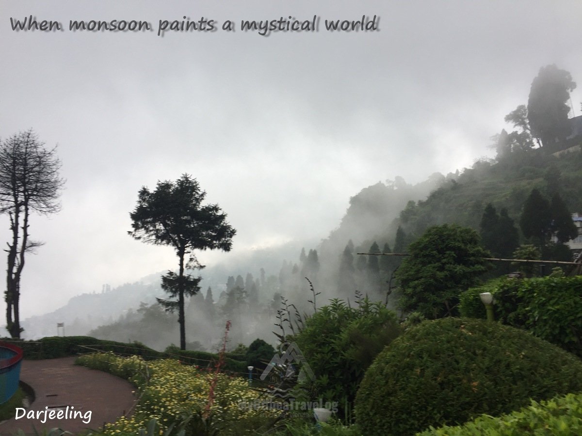 Monsoon Darjeeling